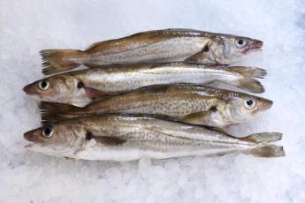 poissonnier à Paris 18 poissonnier à Paris 18
