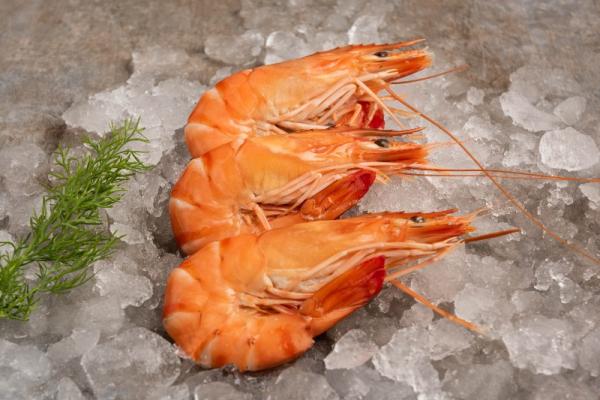 CREVETTES ROSES