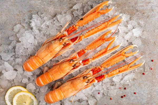 LANGOUSTINE