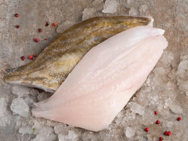 filet de Saint-Pierre