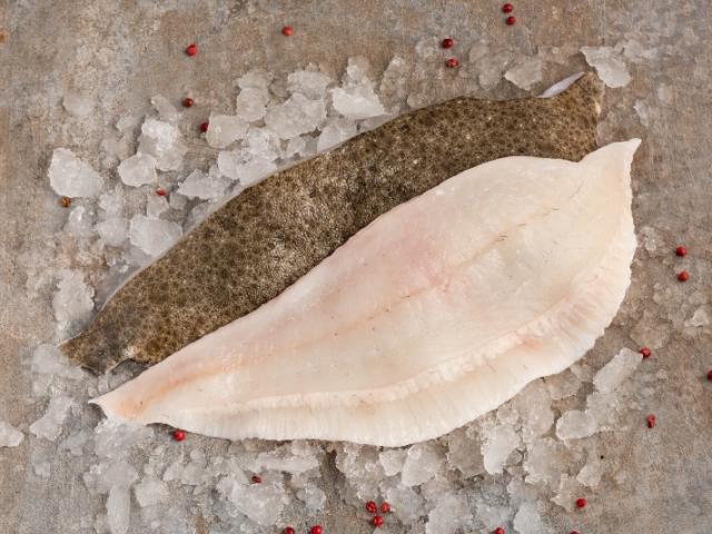 Filet de turbot